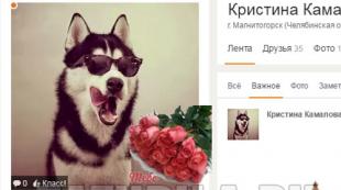 Odnoklassniki 내 이전 페이지 로그인