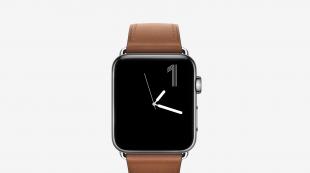 Die häufigsten Probleme mit der Apple Watch